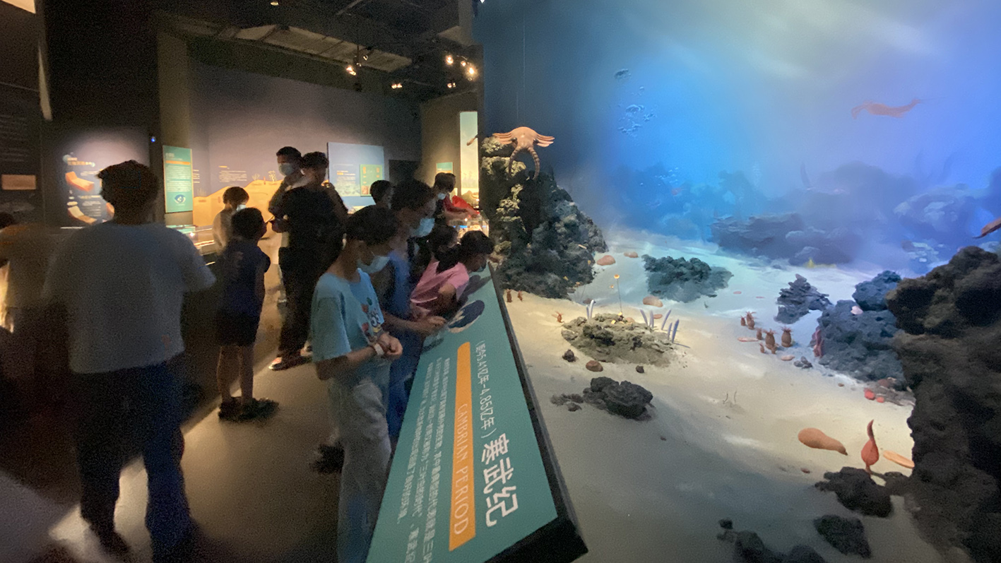 漫走設計丨打卡順德自然科學館，探索“快樂星球”！