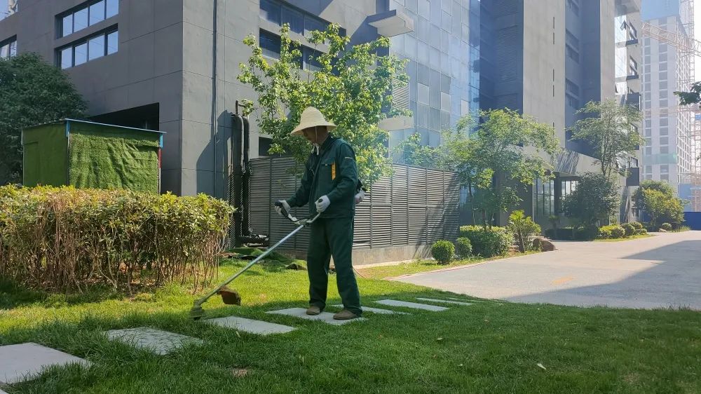 感受夏日，體驗涼爽，走進這座創業之城！